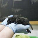 펭귄유통 이미지