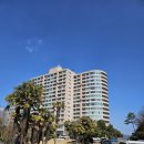 내송1길 | [경남통영] 신나는 통영여행 '금호통영마리나리조트' 로얄스위트디럭스 숙소 후기기 '통영중앙시장' 회...