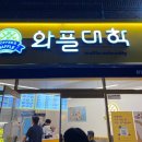 와플대학 대구계명대캠퍼스 이미지