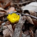 지랑마을 이미지