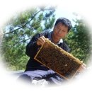 상옥프로폴리스 이미지