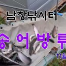 남창낚시터 이미지