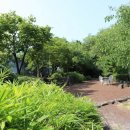 김영갑갤러리 (두모악) 이미지