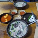 하루종일 비 경상남도 거제도 한달살이 다섯번째 날