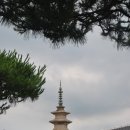 한국안전기술원 이미지