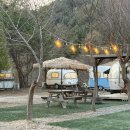 캠프오후4시 이미지