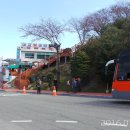 돌산대교 입구 부터 거북선대교 입구 이미지
