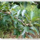 분당노인종합복지관 내 이미지