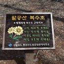 팔공산 가산산성 복수초 이미지