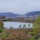 일심제 네이버블로그