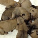 준열농장 이미지