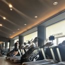 몸조아짐 피트니스 네이버블로그