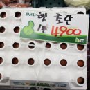 총각네수지