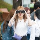 모모
