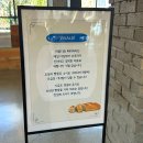 비발디 | [경산] 하양신상대형카페 분좋카 비발디 후기