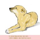 연변보신탕 이미지