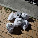 임항선그린웨이 | 마산 임항선그린웨이 플로깅 활동 후기(25.7.5.)