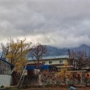 주천면 벚꽃길 이미지