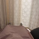 올리라피 | 임신 29주-30주, 자궁경부길이 짧음 및 조기진통 입원 후기