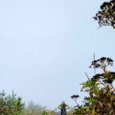 성읍리-22 이미지