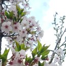 하늘기쁨작은도서관 이미지