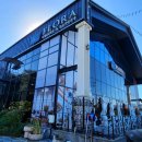 플로라 거창 | [플로라 거창 카페] 커피/논커피라떼/주스/빙수...티/차/빵/쿠키/케이크/솔직후기/내돈 내산_일상, 기록