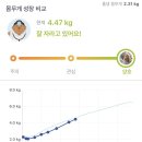 미팅닭발 이미지