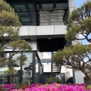 강남-126 이미지