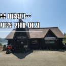 용댕이카페 | 세종 연동면 카페 날마다좋은날｜통나무 감성 인테리어 + 돈까스 세트까지 완벽했던 뷰맛집