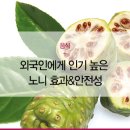 노니 이미지