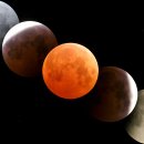 CW-1689-01 이미지