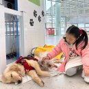 단장면 반려동물지원센터 이미지