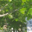 덕곡리 마을회관 이미지