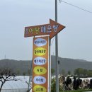 낙동강어탕매운탕 이미지
