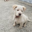 덕소민박 이미지