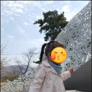 자라섬 캠핑장 이미지