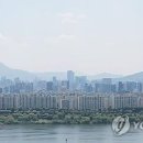 압구정-264 이미지