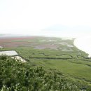 소꿉놀이민박 이미지