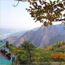 설악동 C1 주차장 | 설악산 케이블카 주차장, 예약, 가격, 대기시간 단풍구경 절정 최신 후기