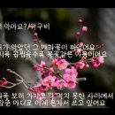 2월에 드러나는 것들 /곽구비 이미지