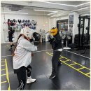 퍼블릭 복싱 이미지