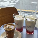 종가로(6)R | 울산시청카페 콜프로스터스 플랫화이트 딸기라떼 솔직후기