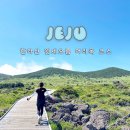 동산샘터 | 제주도 한라산 윗세오름 코스 어리목 등산 소요시간 휴게소