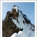 자작나무마을 이미지