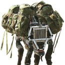 Big Dog(빅독) 이미지