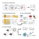 주식회사 신진바이오 이미지