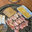 타이어테크 제주점 | 제주시 흑돼지 맛집 도남돼지 제주 삼화 맛집 추천