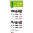 제니스SG스크린골프 이미지