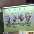 정딜리버리푸드 | 우수아이아 특산물 "칼라파테 베리" 젤라또 아이스크림 가게 가젯(Gadget)
