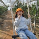 예성태권도장 이미지